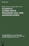Walter Purkert, Jürgen vom Scheidt, Jürgen Vom Scheidt - Schwach korrelierte Prozesse und ihre Anwendungen