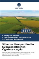 Y Thangam Baskar, Y. Thangam Baskar, Y.Thangam Baskar, S Umamaheswari Sivaprakasam, S. Umamaheswari Sivaprakasam, Sub... - Silberne Nanopartikel in Süßwasserfischen Cyprinus carpio