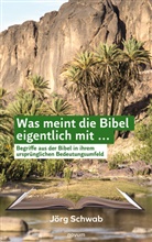 Jörg Schwab, Jörg Schwab - Was meint die Bibel eigentlich mit ...