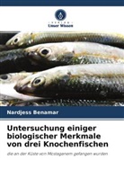 Nardjess Benamar - Untersuchung einiger biologischer Merkmale von drei Knochenfischen