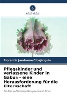 Florentin Jandarme Cibajirigulu - Pflegekinder und verlassene Kinder in Gabun - eine Herausforderung für die Elternschaft