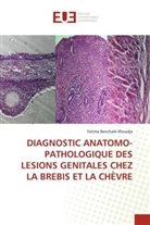Fatima Benchaib Khoudja - DIAGNOSTIC ANATOMO-PATHOLOGIQUE DES LESIONS GENITALES CHEZ LA BREBIS ET LA CHÈVRE