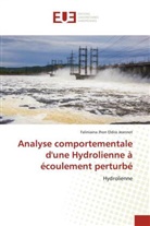 Faliniaina Jhon Eldiss Jeannot - Analyse comportementale d'une Hydrolienne à écoulement perturbé