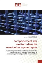 Abdelaziz EL MOUSSAOUY, Omar MOMMADI - Comportement des excitons dans les nanoboîtes asymétriques