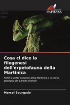 Marcel Bourgade - Cosa ci dice la filogenesi dell'erpetofauna della Martinica