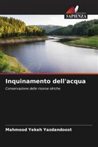 Mahmood Yekeh Yazdandoost - Inquinamento dell'acqua