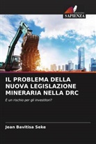 Jean Bavitisa Seke - IL PROBLEMA DELLA NUOVA LEGISLAZIONE MINERARIA NELLA DRC