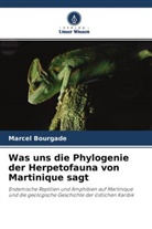Marcel Bourgade - Was uns die Phylogenie der Herpetofauna von Martinique sagt