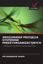 MD MAHBUBUR RAHIM - ZROZUMIENIE PRZYJ CIA SYSTEMÓW MI DZYORGANIZACYJNYCH