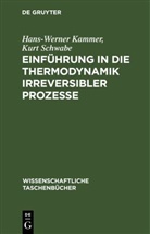 Hans-Werner Kammer, Kurt Schwabe - Einführung in die Thermodynamik irreversibler Prozesse