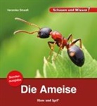 Veronika Straaß - Die Ameise / Sonderausgabe