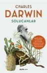 Charles Darwin - Solucanlar