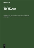Max Ulmann - Max Ulmann: Die Stärke - Lieferung 12/13: Hauptgruppe 9: Enzymatische Arbeiten