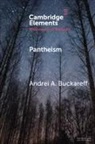 Andrei A. Buckareff, Andrei A. (Marist College Buckareff - Pantheism