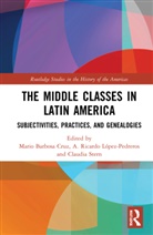 Mario (Uam Cuajimalpa Barbosa Cruz, Mario Barbosa Cruz, Mario Barbosa Lopez-Pedreros Cruz, A. Ricardo López-Pedreros, Claudia Stern, Mario Barbosa Cruz... - Middle Classes in Latin America
