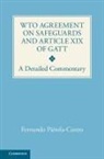 Fernando Pierola-Castro, Fernando Piérola-Castro - Wto Agreement on Safeguards and Article XIX of Gatt