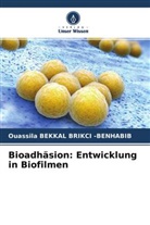 Ouassila Bekkal Brikci -Benhabib - Bioadhäsion: Entwicklung in Biofilmen