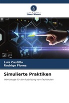 Luis Castillo, Rodrigo Flores - Simulierte Praktiken