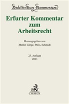 Thomas Dieterich, Peter Hanau, Rudi Müller-Glöge, Ulrich Preis, Günter Schaub, Ingrid Schmidt... - Erfurter Kommentar zum Arbeitsrecht