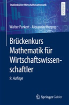 Alexander Herzog, Purkert, Walter Purkert - Brückenkurs Mathematik für Wirtschaftswissenschaftler