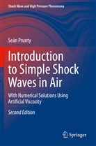 Seán Prunty - Introduction to Simple Shock Waves in Air