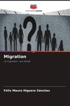 Félix Mauro Higuera Sánchez - Migration