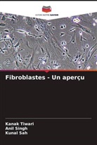 Kunal Sah, ANIL SINGH, Kanak Tiwari - Fibroblastes - Un aperçu