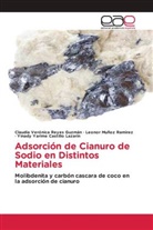 Yinady Yarime Castillo Lazarin, Leonor Muñoz Ramirez, Claudia Verónica Reyes Guzmán - Adsorción de Cianuro de Sodio en Distintos Materiales