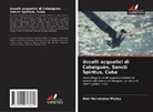 Abel Hernández-Muñoz - Uccelli acquatici di Cabaiguán, Sancti Spíritus, Cuba