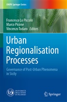 Francesco Lo Piccolo, Marco Picone, Vincenzo Todaro - Urban Regionalisation Processes