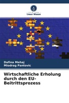 Dafina Mehaj, Miodrag Pantovic - Wirtschaftliche Erholung durch den EU-Beitrittsprozess