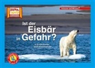 Karolin Küntzel - Ist der Eisbär in Gefahr? / Kamishibai Bildkarten