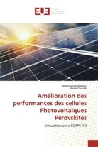 Manal Choukri, Abdessamad Malaoui - Amélioration des performances des cellules Photovoltaïques Pérovskites