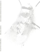 Ingeborg Erhart, Joh Hartle, Johan Hartle, Raqs Media Collective, Ingeborg Erhart, Johan Hartle... - Raqs Media Collective. Hungry for Time
