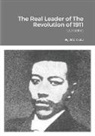 Jiajia Liu - The Real Leader of The Revolution of 1911