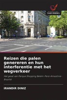 Irandir Diniz - Reizen die palen genereren en hun interferentie met het wegverkeer