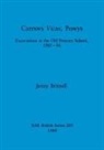 Jenny Britnell - Caersws Vicus, Powys
