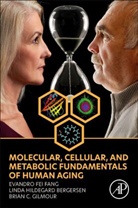 Linda Hildegard Bergersen, Brian C. Gilmour, Evandro Fei Fang, Evandro Fei/ Bergersen Fang, Fang Evandro Fei, Brian C. Gilmour... - Molecular, Cellular, and Metabolic Fundamentals of Human Aging
