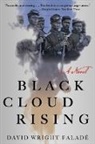 David Wright Falade, David Wright Faladé, David Wright Falade - Black Cloud Rising