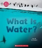 Lisa M Herrington, Lisa M. Herrington - What Is Water? (Learn About: Water)