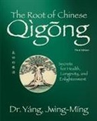 Jwing-Ming Yang - The Root of Chinese Qigong