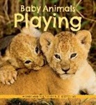 Suzi Eszterhas - Baby Animals Playing