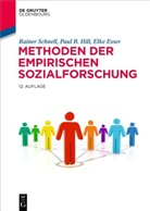 Elke Esser, Elke Esser-Weckmann, Paul B Hill, Paul B. Hill, Rainer Schnell - Methoden der empirischen Sozialforschung