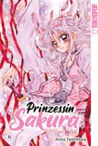 Arina Tanemura, Rosa Vollmer - Prinzessin Sakura 2in1 06