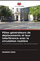 Irandir Diniz - Pôles générateurs de déplacements et leur interférence avec la circulation routière