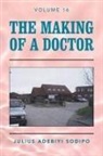 Julius Adebiyi Sodipo - The Making of a Doctor