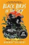 Brandy Colbert - Black Birds in the Sky