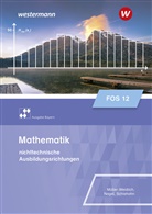 Daniel Müller, Da Müller-Weidlich, Daniel Müller-Weidlich, Stefan Nagel, Frank Schlehahn - Mathematik für Fachoberschulen und Berufsoberschulen - Ausgabe Bayern