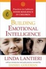 Daniel Goleman, Linda Lantieri - Building Emotional Intelligence