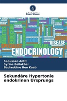 Saoussen Antit, Syrine Bellakhal, Badred Ben Kaab, Badreddine Ben Kaab - Sekundäre Hypertonie endokrinen Ursprungs